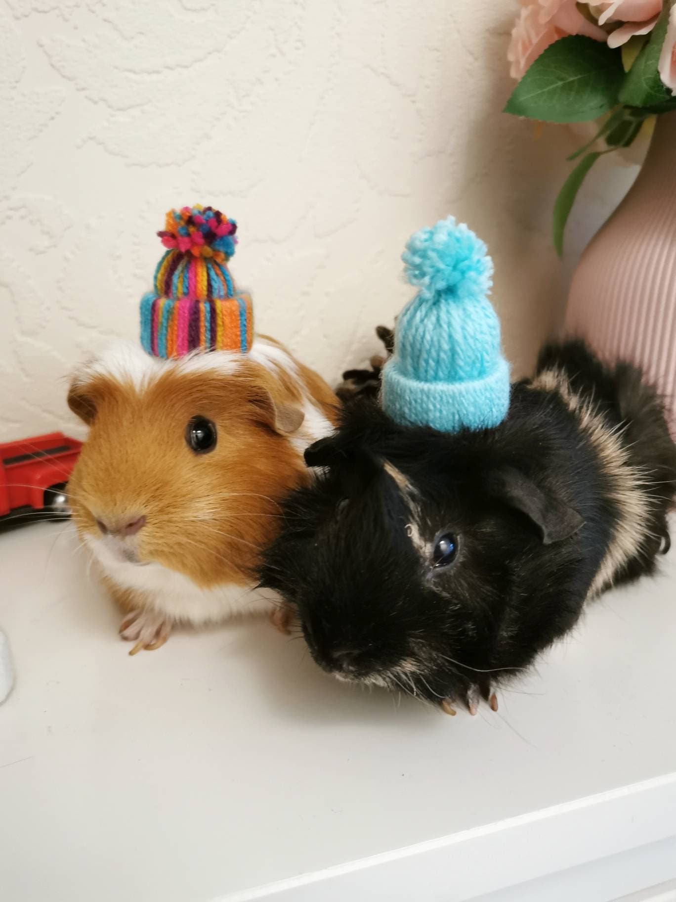 Cute Guinea Pig Winter Wool Hat Red White Photo Prop Mouse Hamster Chinchilla Pet Small Animal