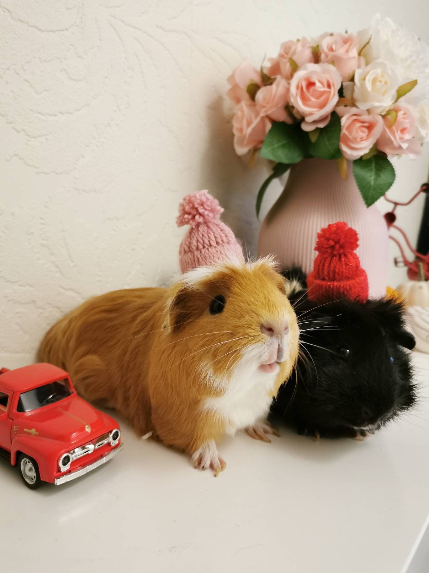 Cute Guinea Pig Winter Wool Hat Red White Photo Prop Mouse Hamster Chinchilla Pet Small Animal