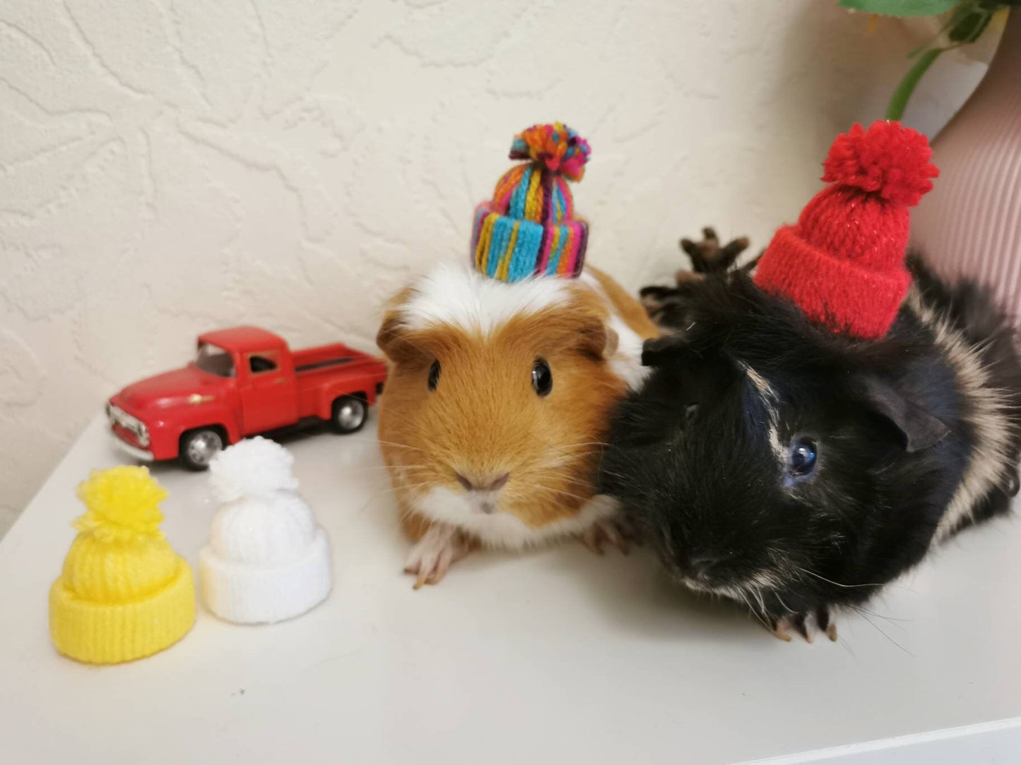 Cute Guinea Pig Winter Wool Hat Red White Photo Prop Mouse Hamster Chinchilla Pet Small Animal