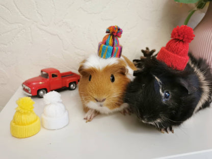 Cute Guinea Pig Winter Wool Hat Red White Photo Prop Mouse Hamster Chinchilla Pet Small Animal