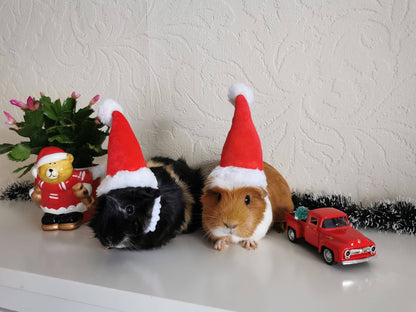 Christmas Small Animal Hat Guinea pig Santa Hat Santa Claus Hat Rabbit Hamster Guinea Pig Rats Festival Costume Christmas Cap Kitten