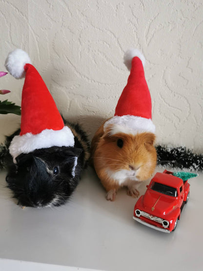 Christmas Small Animal Hat Guinea pig Santa Hat Santa Claus Hat Rabbit Hamster Guinea Pig Rats Festival Costume Christmas Cap Kitten