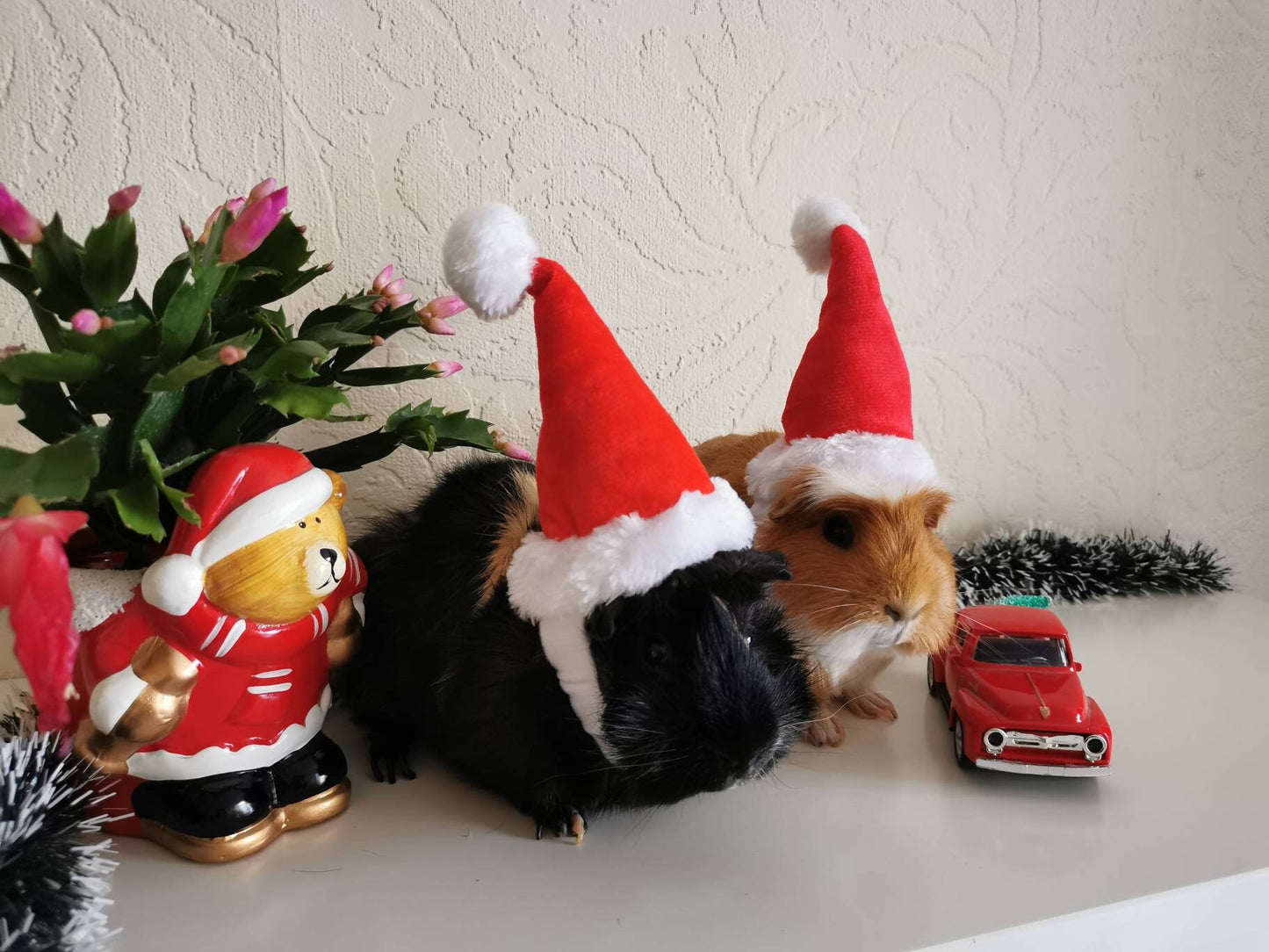 Christmas Small Animal Hat Guinea pig Santa Hat Santa Claus Hat Rabbit Hamster Guinea Pig Rats Festival Costume Christmas Cap Kitten