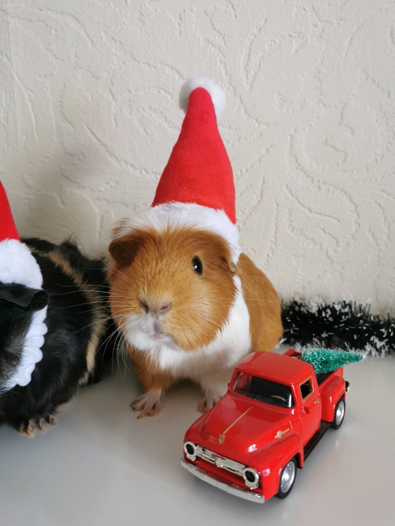 Christmas Small Animal Hat Guinea pig Santa Hat Santa Claus Hat Rabbit Hamster Guinea Pig Rats Festival Costume Christmas Cap Kitten