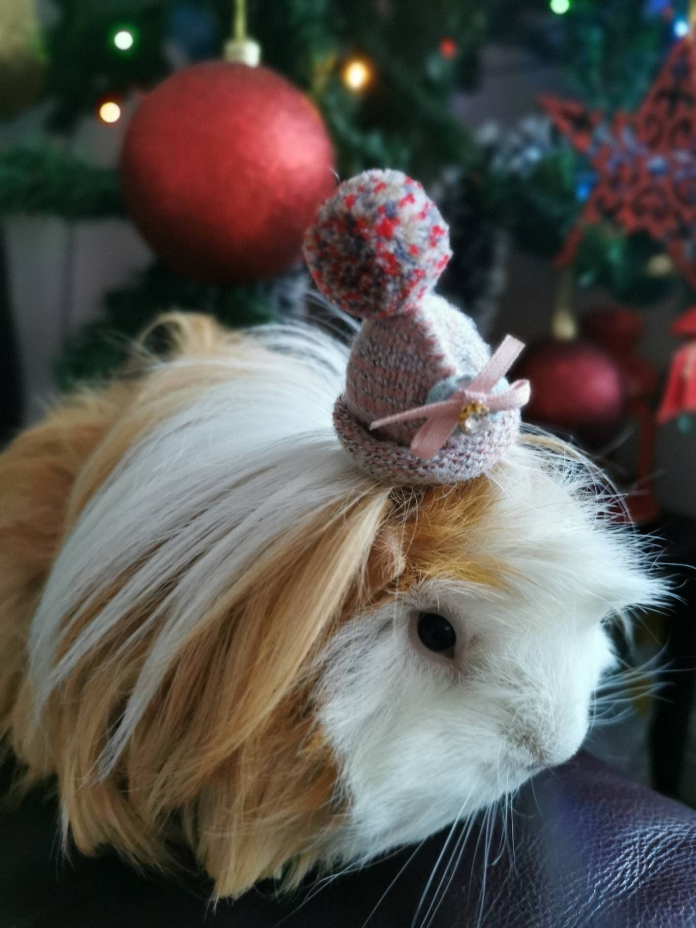 Cute Guinea Pig Winter Wool Hat Photo Prop Mouse Hamster Chinchilla Pet Small Animal Bearded dragon Hedgehog doll hat