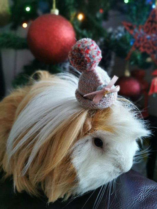Cute Guinea Pig Winter Wool Hat Photo Prop Mouse Hamster Chinchilla Pet Small Animal Bearded dragon Hedgehog doll hat