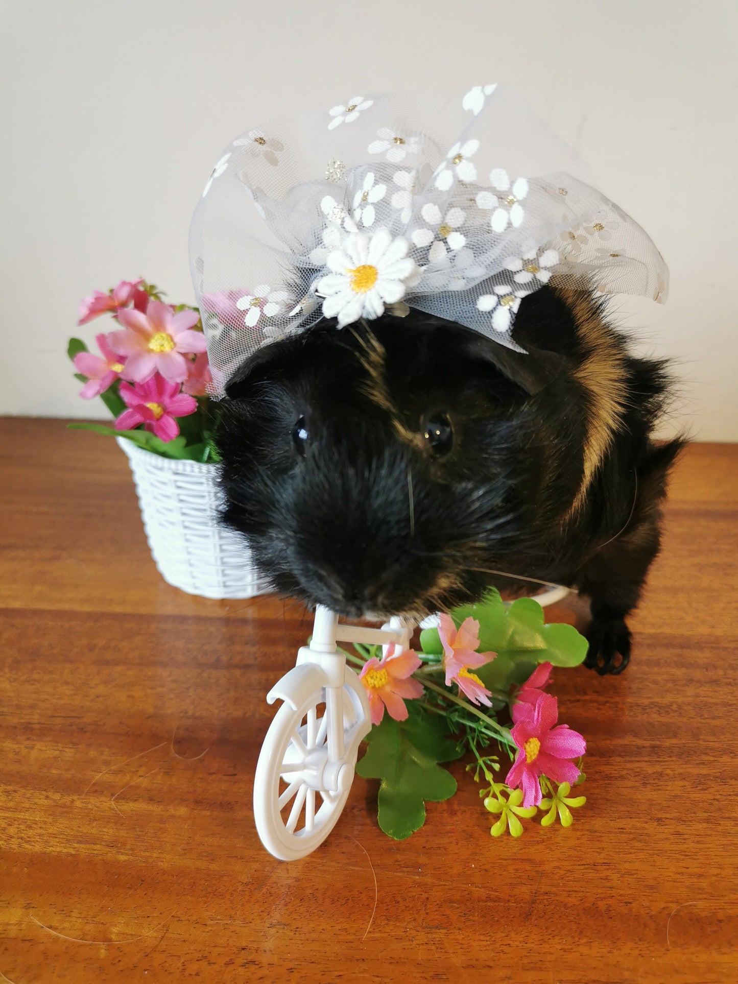 Guinea pig wedding costume small pet bride groom