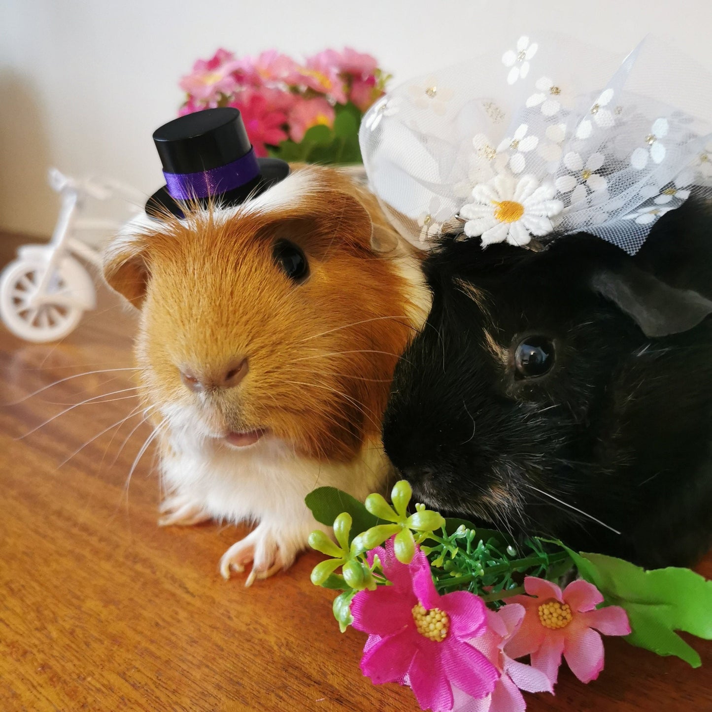 Guinea pig wedding costume small pet bride groom
