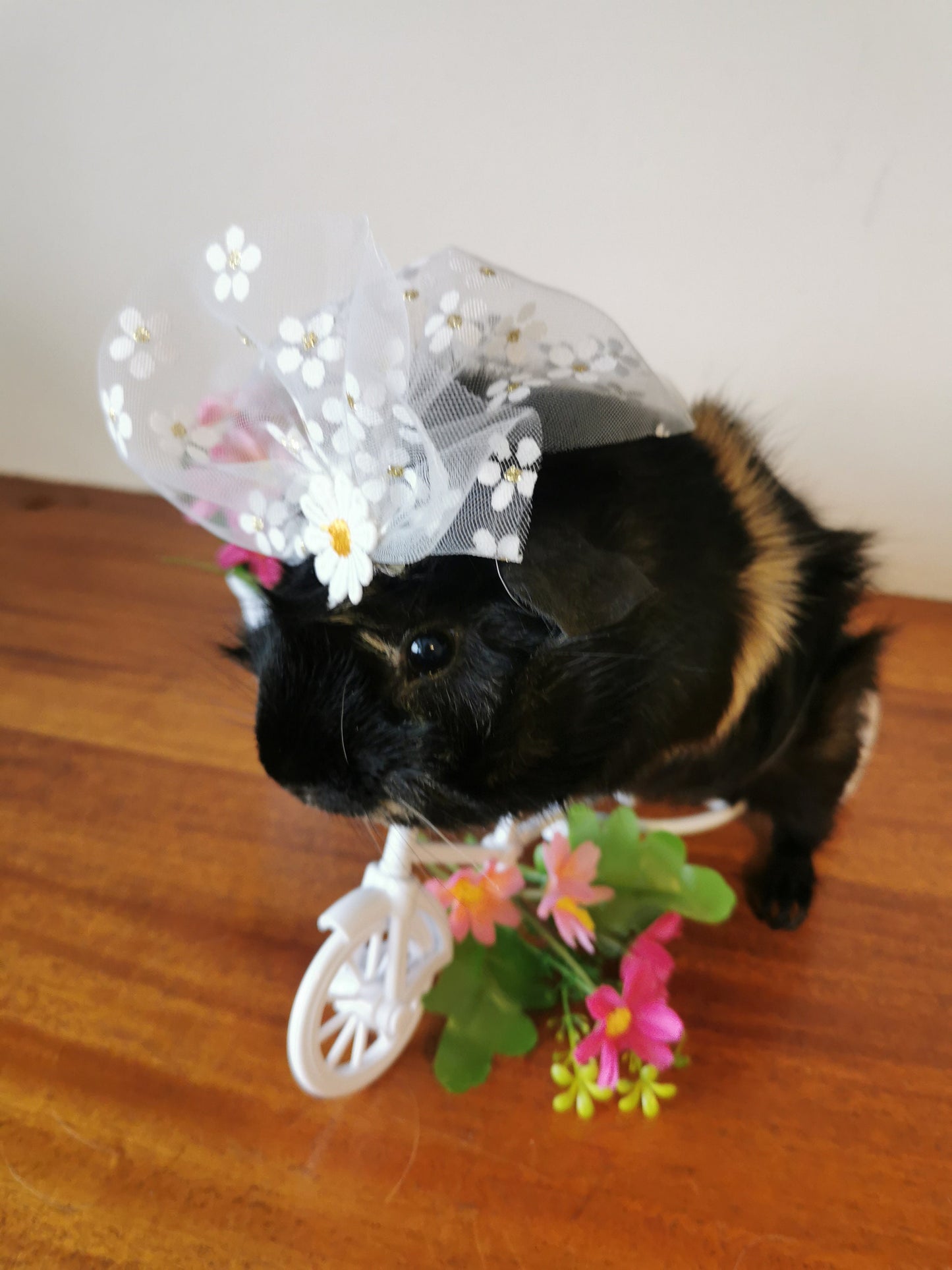 Guinea pig wedding costume small pet bride groom