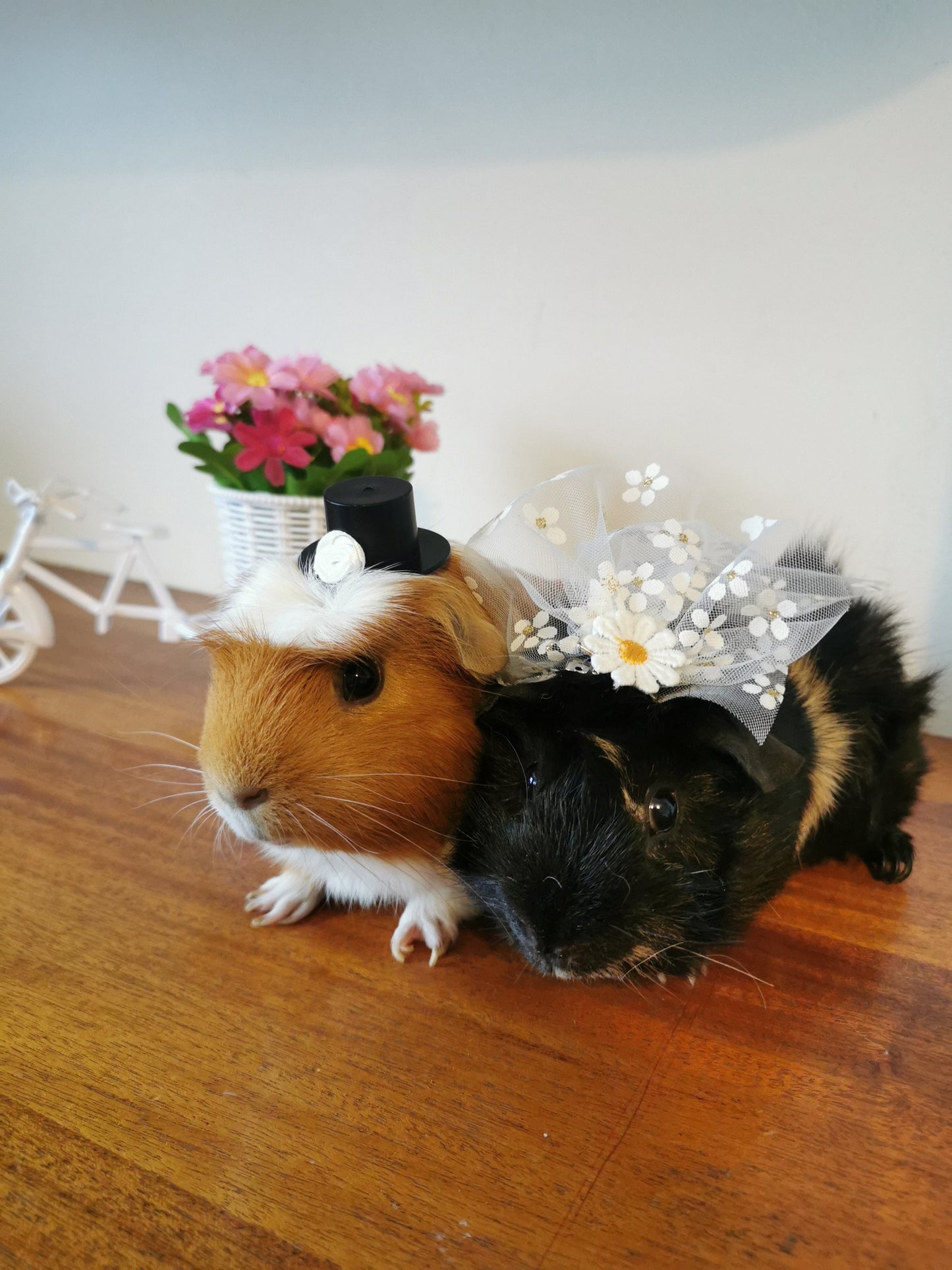 Guinea pig wedding costume small pet bride groom