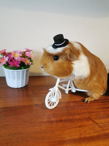 Guinea pig wedding costume small pet bride groom
