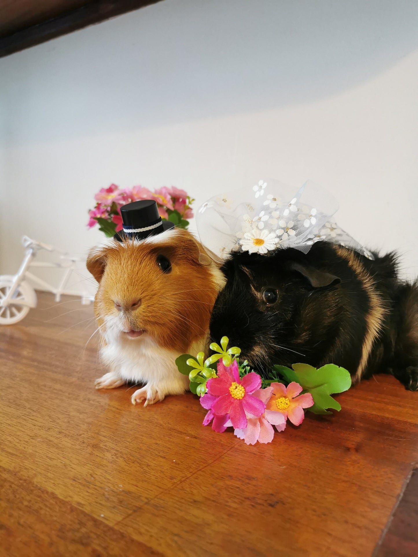 Guinea pig wedding costume small pet bride groom