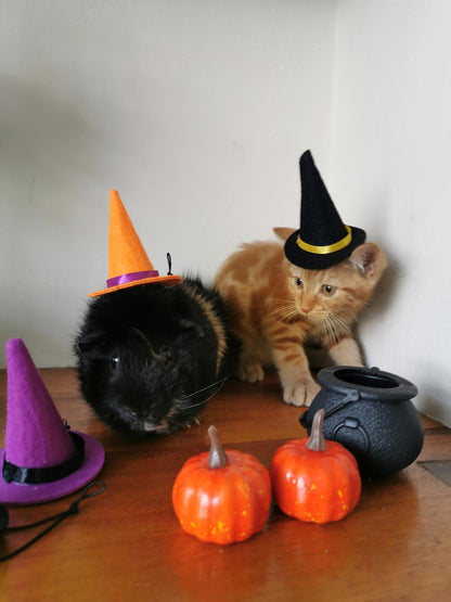 Small Pet Kitten Halloween Costume Hat and Cauldron