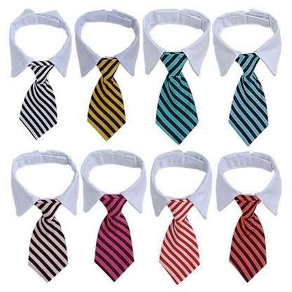 Business Striped Cat Necktie Collar