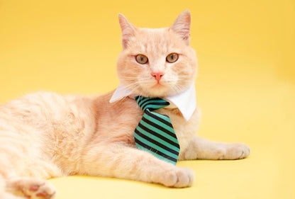 Business Striped Cat Necktie Collar