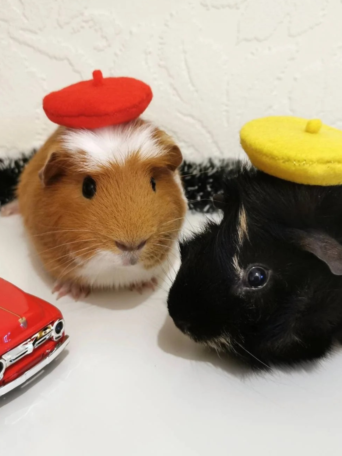 Adorable Guinea Pig Costume Beret Hat - Tiny Pet Fashion Accessory for Small Animal Dress Up and Photo Props