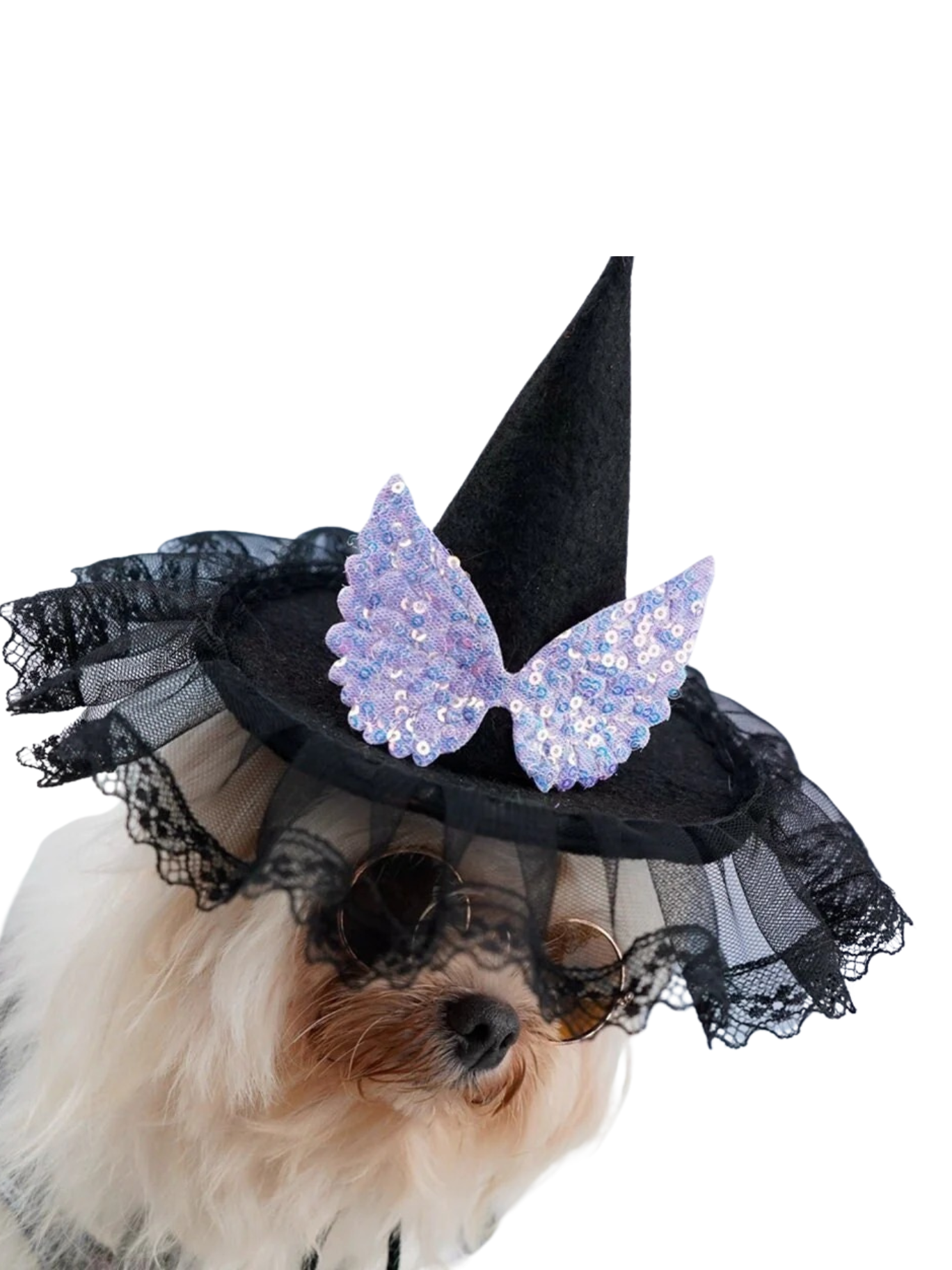 Dog Lady Hat Adjustable  Animal Chihuahua Pomeranian Yorkshire Terrier Dog Cat