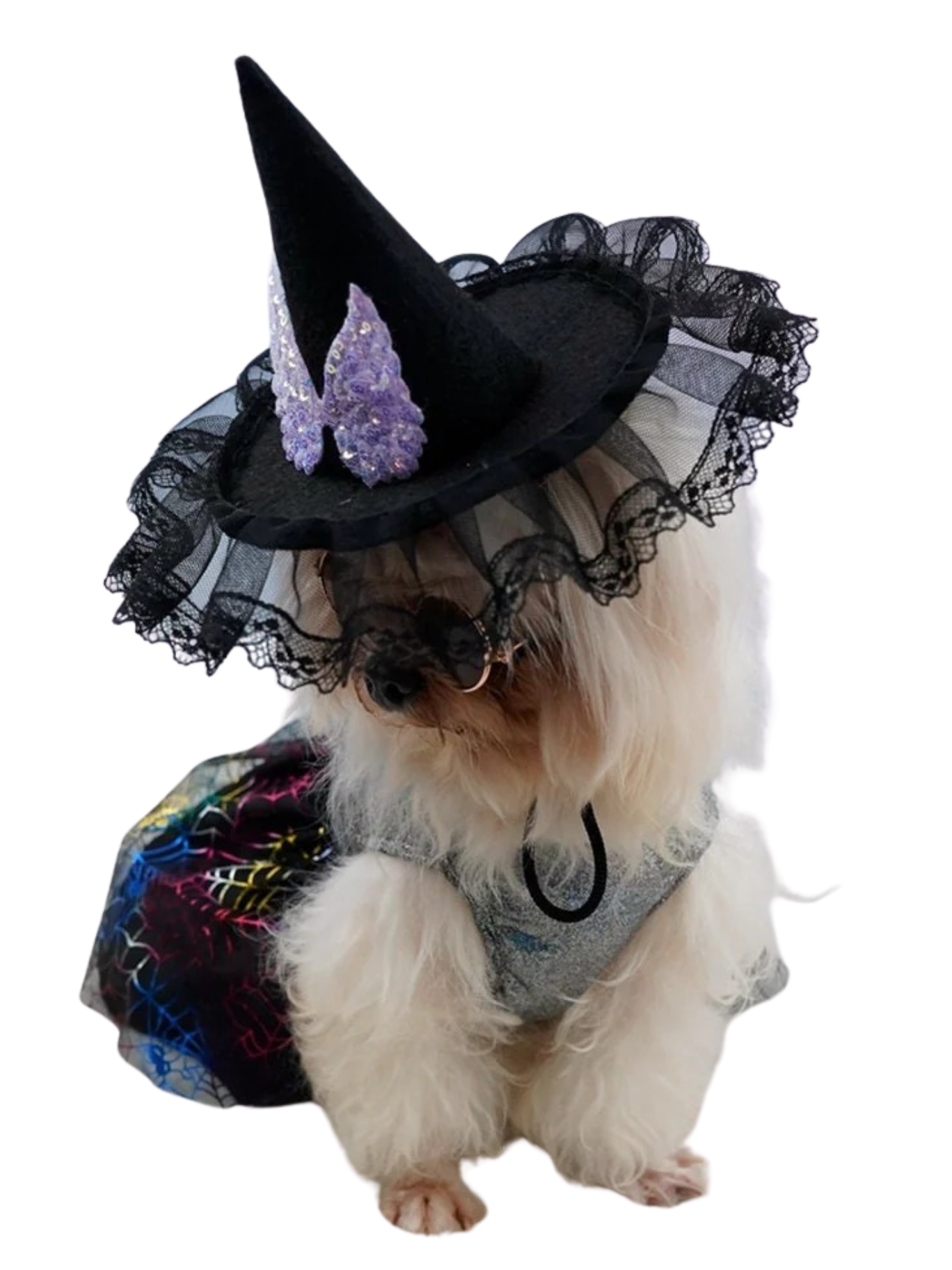 Dog Lady Hat Adjustable  Animal Chihuahua Pomeranian Yorkshire Terrier Dog Cat