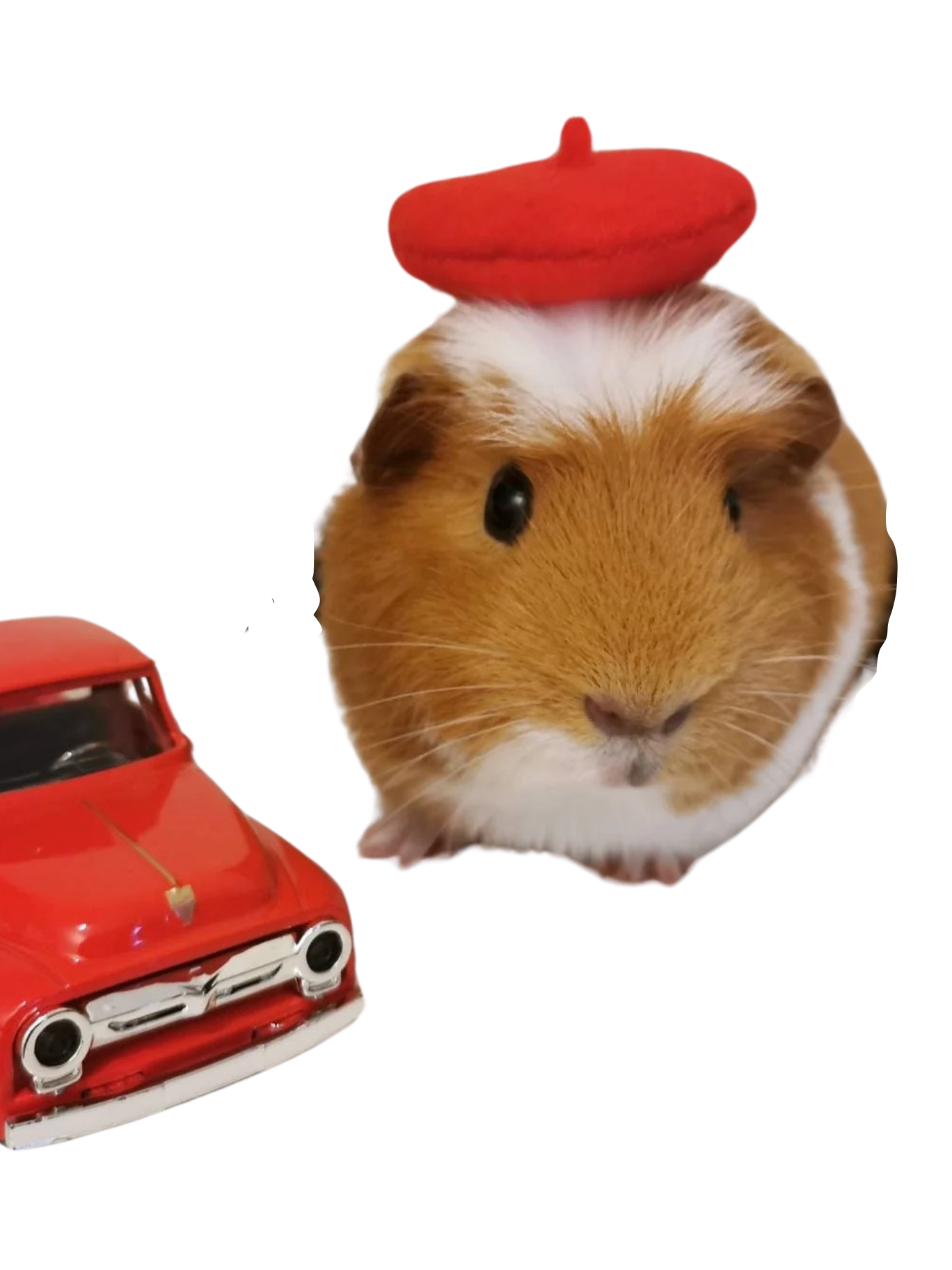 Adorable Guinea Pig Costume Beret Hat - Tiny Pet Fashion Accessory for Small Animal Dress Up and Photo Props