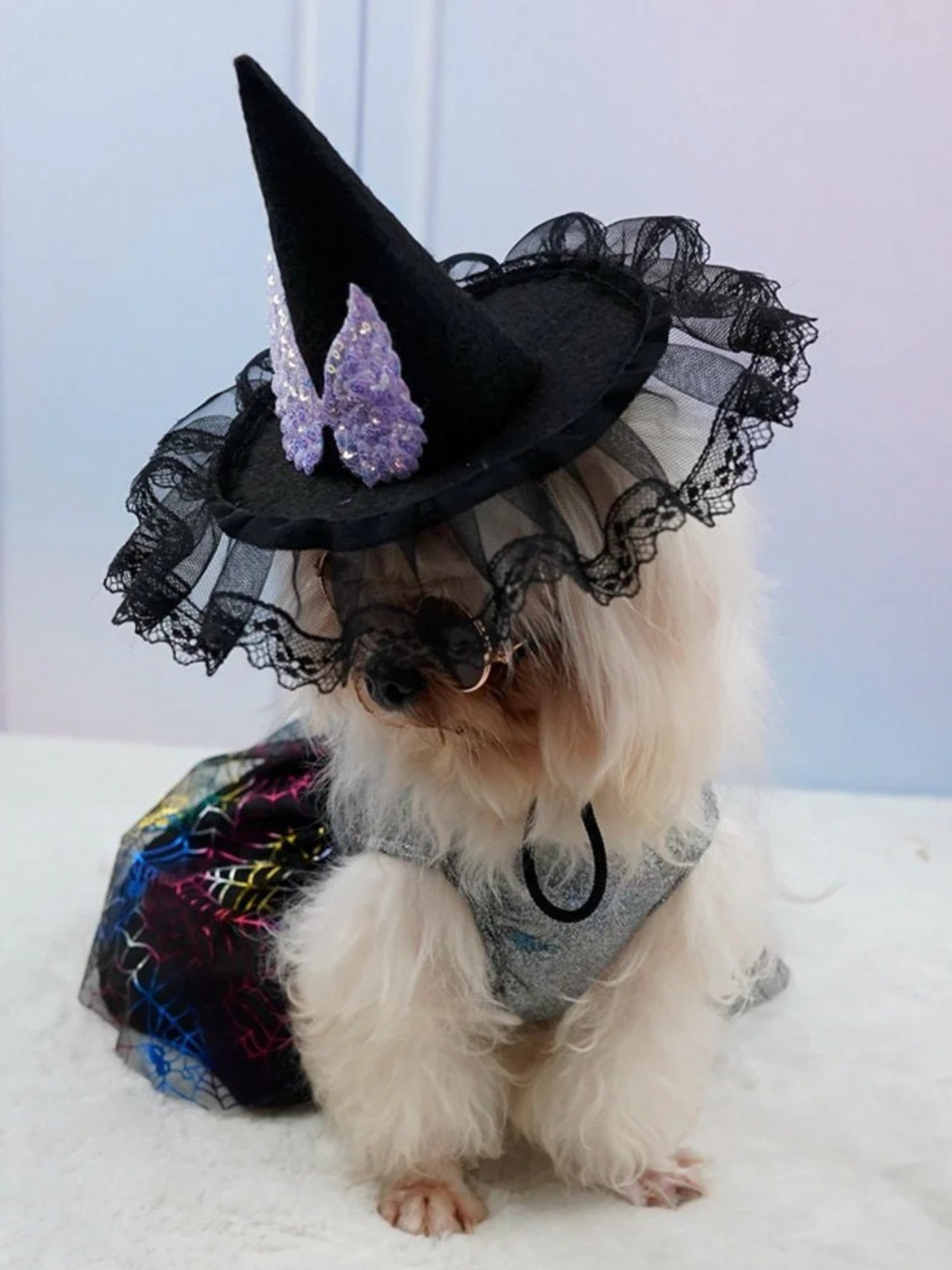 Dog Lady Hat Adjustable  Animal Chihuahua Pomeranian Yorkshire Terrier Dog Cat