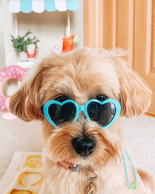 Dog Pet Heart Shaped Sunglasses